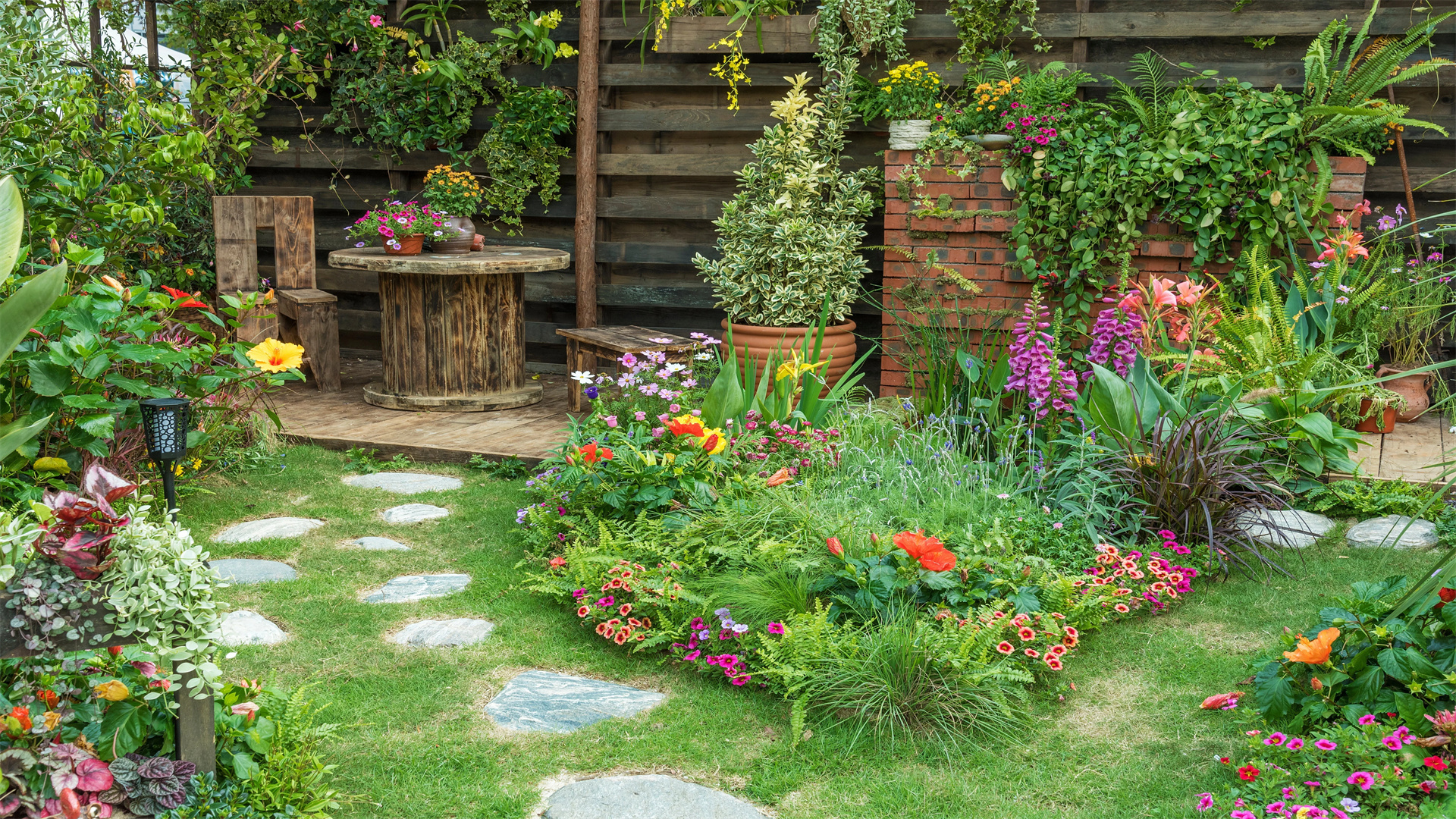 9 Beginner-Friendly Tips to Build a Compact yet Vibrant Home Garden