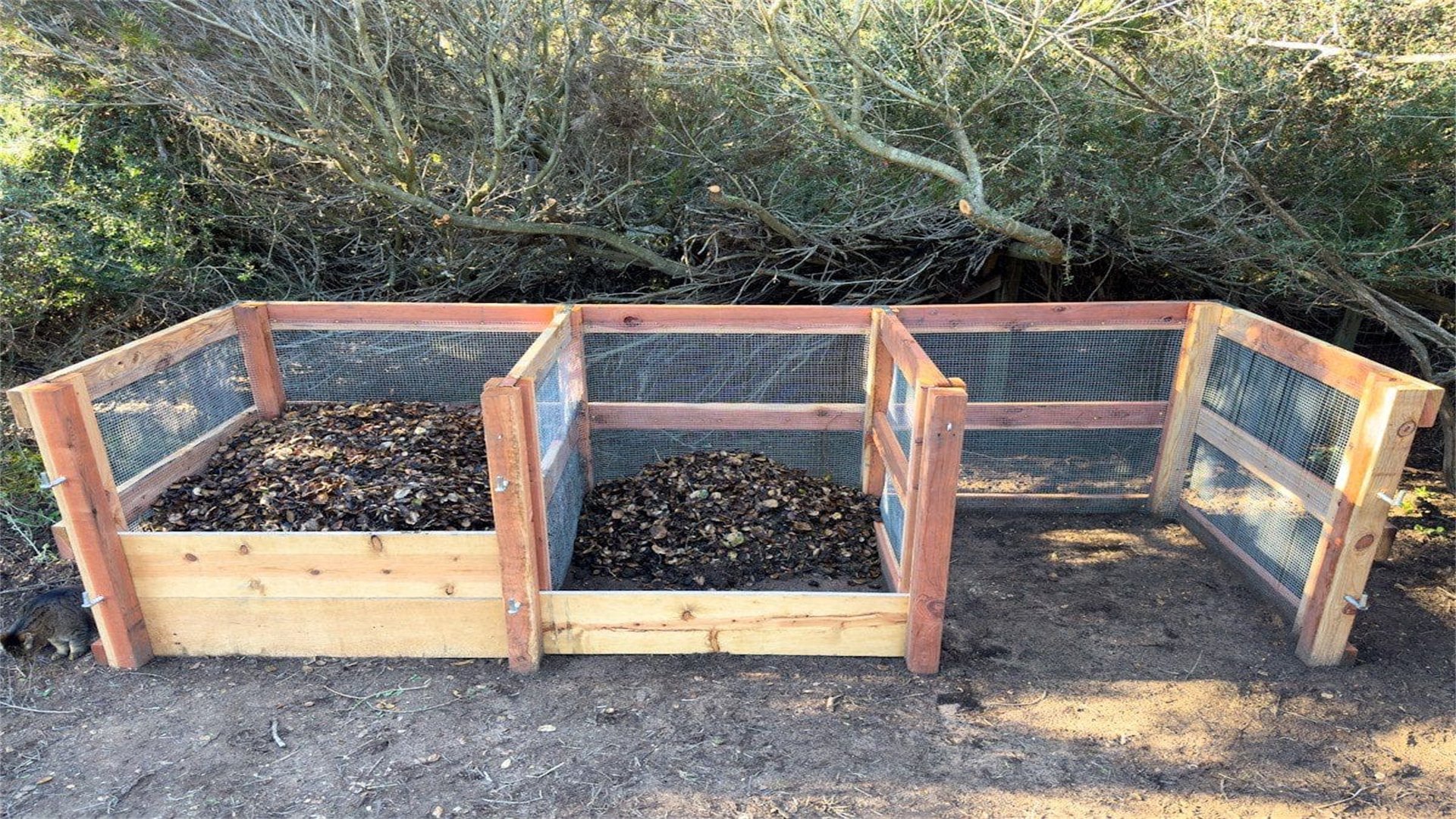 DIY Composting Tips for a Sustainable Garden