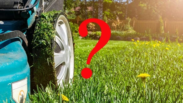 Mower Match Quiz: Find Your Perfect Lawn Mower!