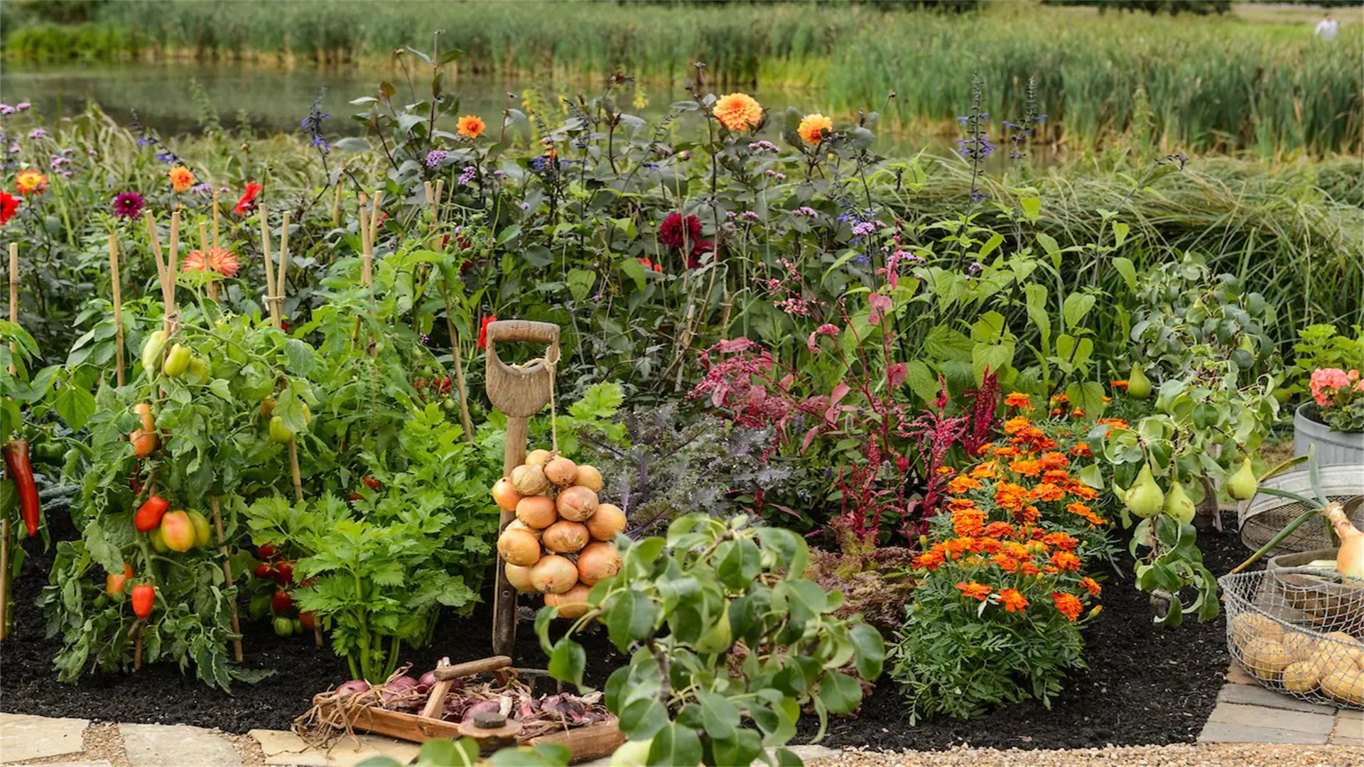 Nourish Your Plate Naturally: A Comprehensive Guide to Starting an Organic Edible Garden