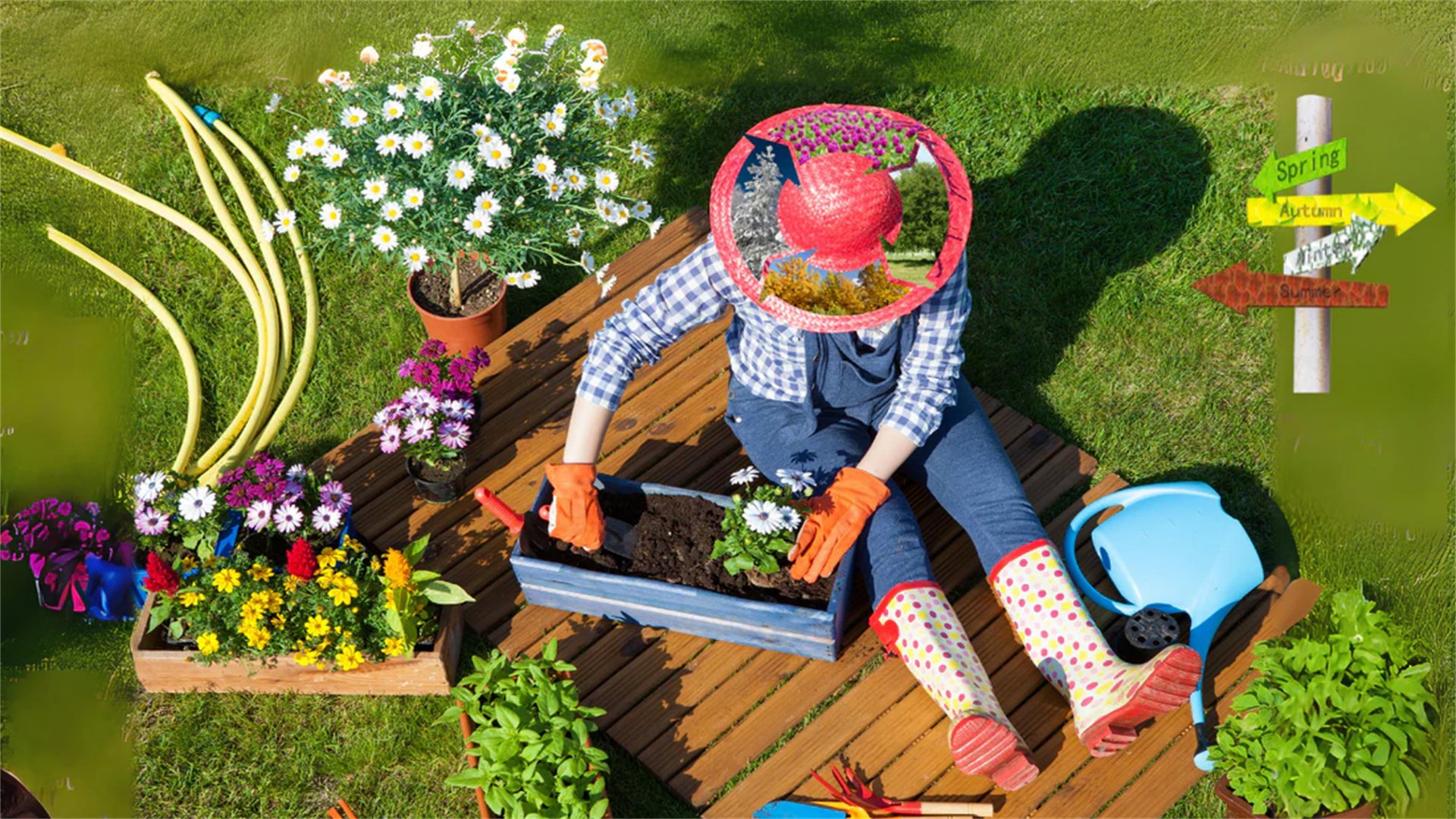 Seasonal Gardening Tips for Year-Round Beauty