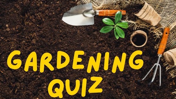 Test Your Gardening Knowledge!